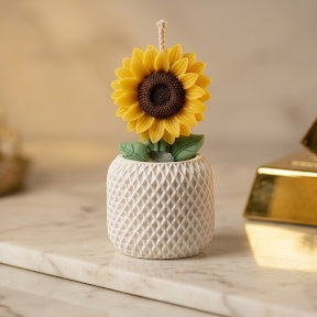 Blooming Sunflower candle with White pot