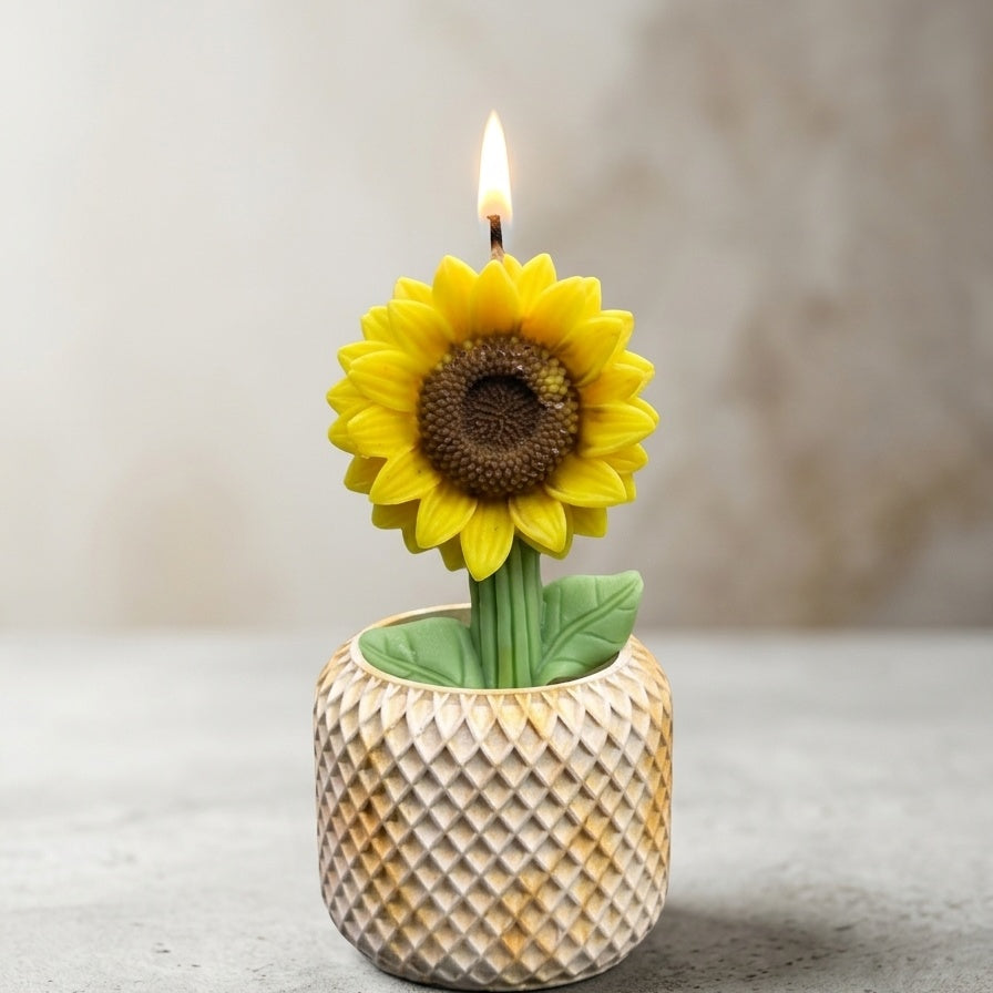Blooming Sunflower candle with White pot
