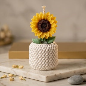 Blooming Sunflower candle with White pot